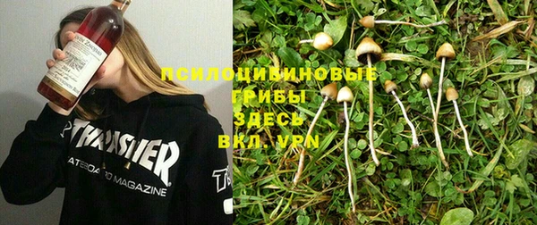 хмурый Бронницы
