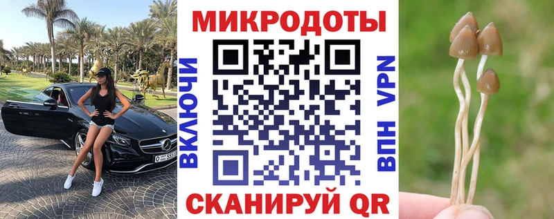 Псилоцибиновые грибы ЛСД  Купить  Нарткала 